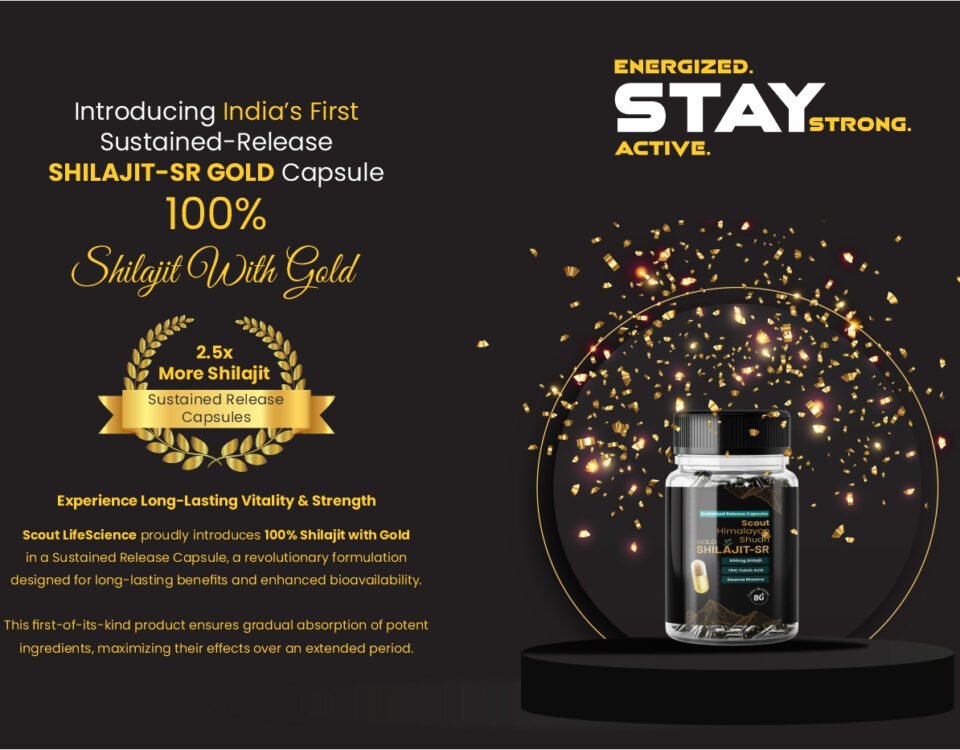 best shilajit capsules