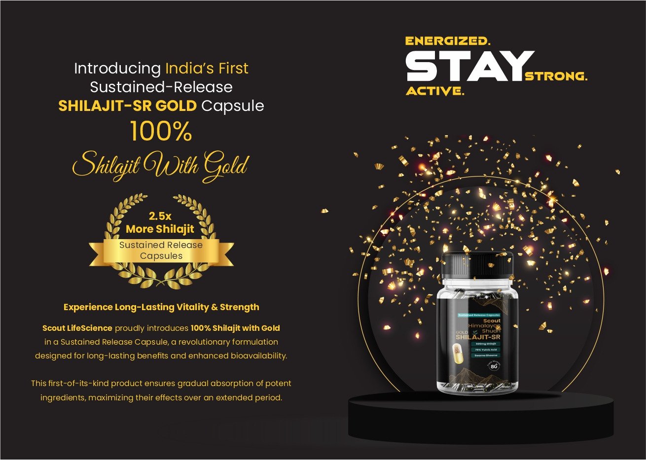 best shilajit capsules